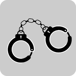 Strafrecht Icon